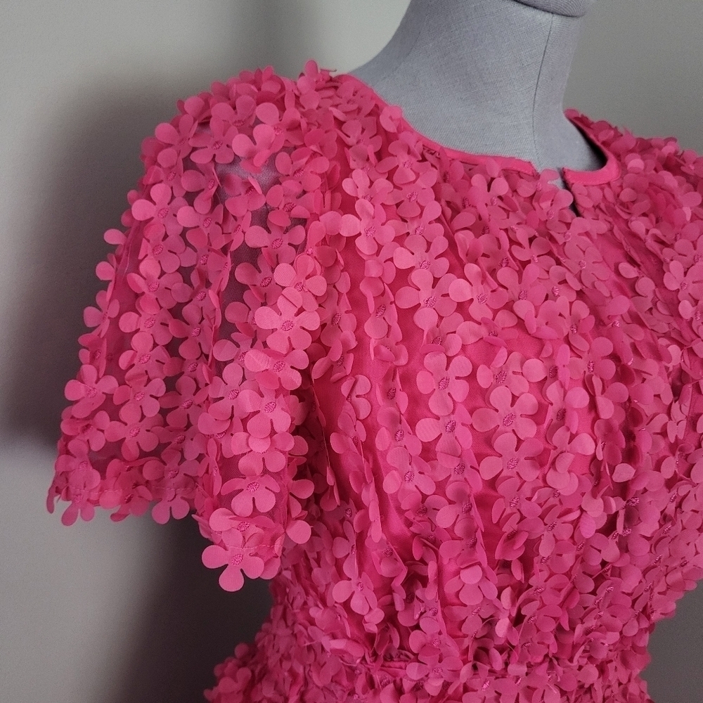Anthropologie Pink Floral Applique Dress Sz XS